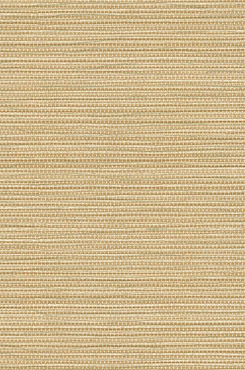 T2-AG-12
