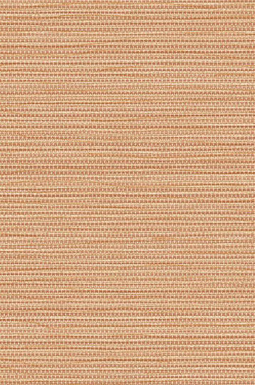 T2-AG-13