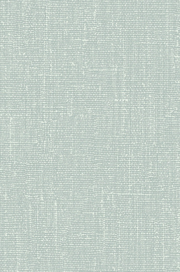 T2-BL-01