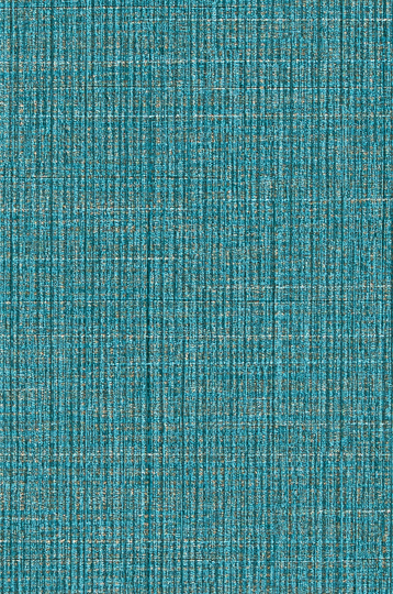 T2-CL-28