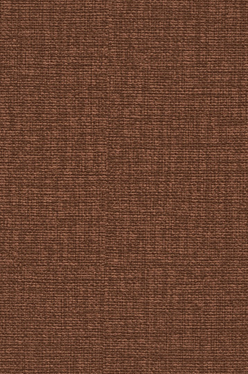 T2-CN-36