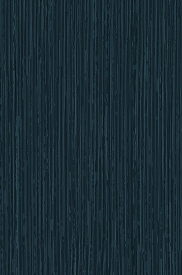 T2-EM-16