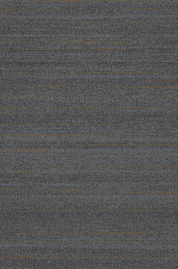 T2-LX-08